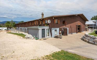 Single house 13 rooms - image - 9