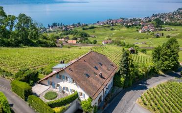 Villa 10.5 pièces - image - 1