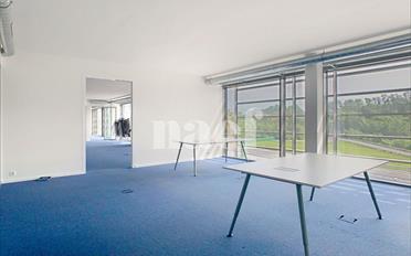 Büro 4 Zimmer - image - 6