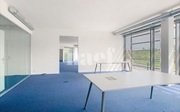 Büro 4 Zimmer - image - 7