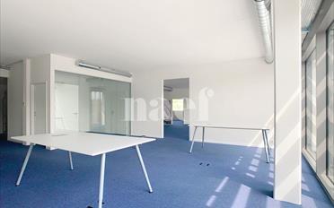Büro 4 Zimmer - image - 8