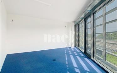 Büro 4 Zimmer - image - 2