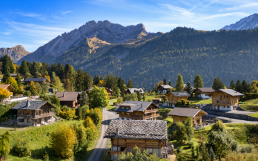 Chalet 8.5 rooms - image - 3