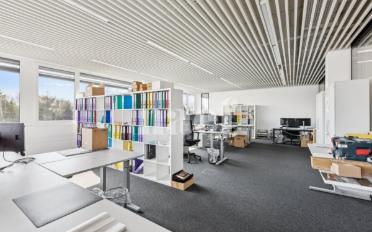 Office 3 rooms - image - 6