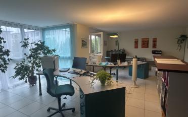 Office 3.5 rooms - image - 1