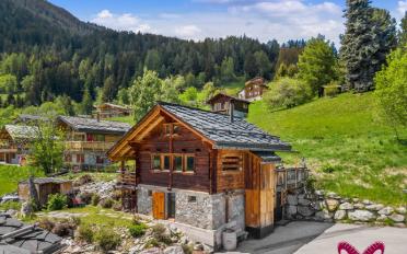 Chalet 4.5 Zimmer - image - 10