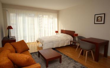 Appartement meublé 1 pièce - image - 2