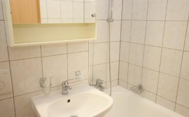 Furnished flat 1.5 rooms - image - 4