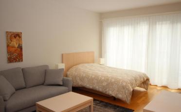 Appartement meublé 1 pièce - image - 2