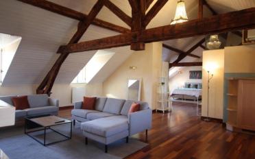 Furnished flat 3.5 rooms - image - 2