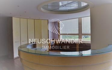 Gemischt genutzte Immobilie - image - 3