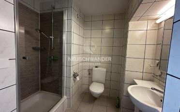 Einfamilienhaus 8.5 Zimmer - image - 7