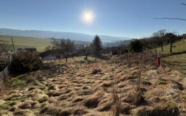 Building land - image - 4