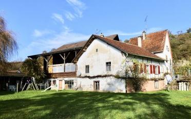 Halle d'équitation - image - 1