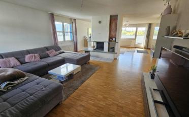 Attic flat 6 rooms - image - 7
