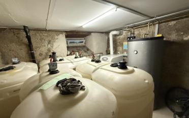 Mixed use property - image - 11