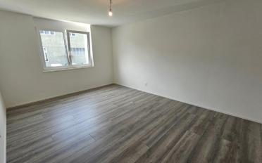 Doppeleinfamilienhaus 5.5 Zimmer - image - 10
