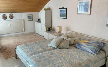 Roof flat 2.5 rooms - image - 4