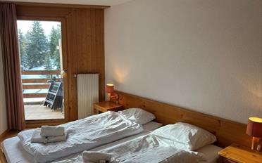 Appartement 3 pièces - image - 11