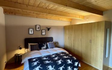 Chalet 7 rooms - image - 10