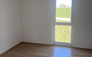 Wohnung 5.5 Zimmer - image - 5