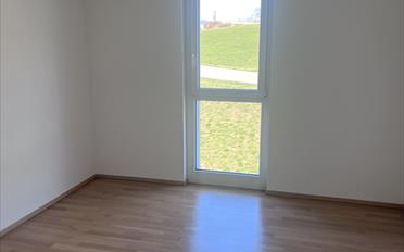 Wohnung 5.5 Zimmer - image - 7