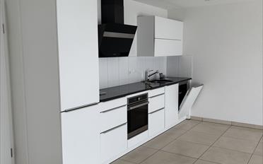 Wohnung 2.5 Zimmer - image - 2