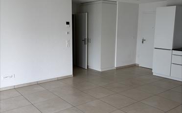 Wohnung 2.5 Zimmer - image - 4
