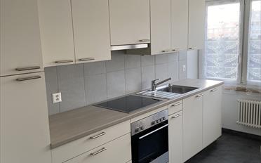Wohnung 3 Zimmer - image - 2