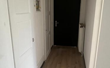 Wohnung 3.5 Zimmer - image - 9