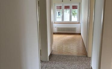 Wohnung 3.5 Zimmer - image - 7