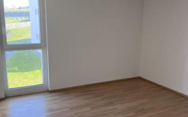 Wohnung 4.5 Zimmer - image - 7