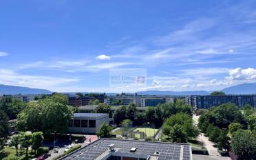 Place souterraine - image - 1