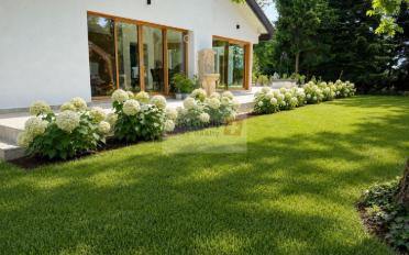Single house 10 rooms - image - 4