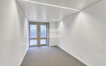 Arcade 16 rooms - image - 10