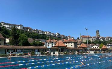 Appartement 2.5 pièces - image - 12