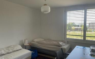Wohnung 3.5 Zimmer - image - 6