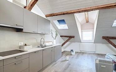 Immeuble mixte - image - 3