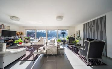 Villa 7.5 Zimmer - image - 5