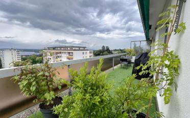 Wohnung 3.5 Zimmer - image - 12