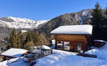 Chalet 10 pièces - image - 9