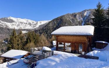 Chalet 10 pièces - image - 9