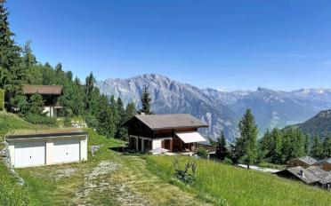 Chalet 6 rooms - image - 2