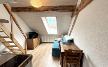 Mixed use property 7 rooms - image - 10