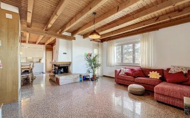 Einfamilienhaus 11.5 Zimmer - image - 2