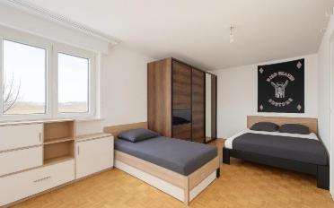 Single house 11.5 rooms - image - 6