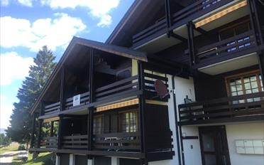Duplex 3.5 pièces - image - 1