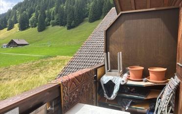 Duplex 3.5 Zimmer - image - 5