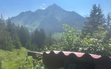 Chalet 3 pièces - image - 10