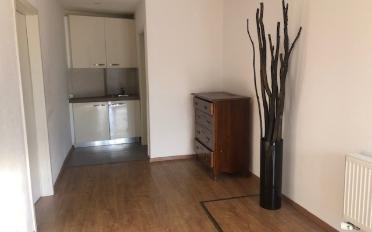 Appartement 5.5 pièces - image - 6